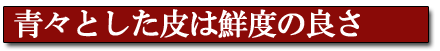 青々とした皮は鮮度の良さ