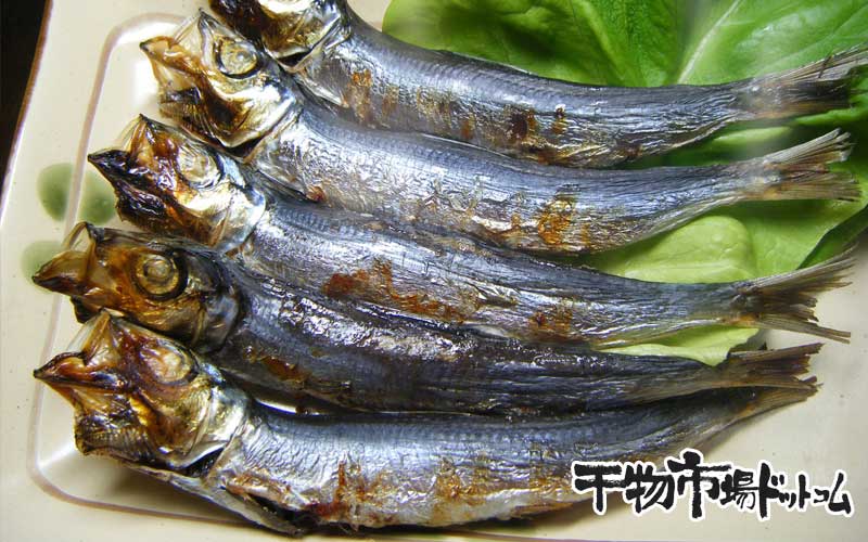 ウルメイワシ