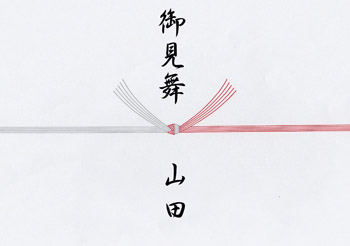 病気、怪我などのお見舞い5本切り(熨斗なし)