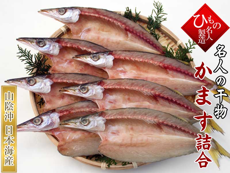 山陰沖 日本海産 かます詰め合わせ-7尾