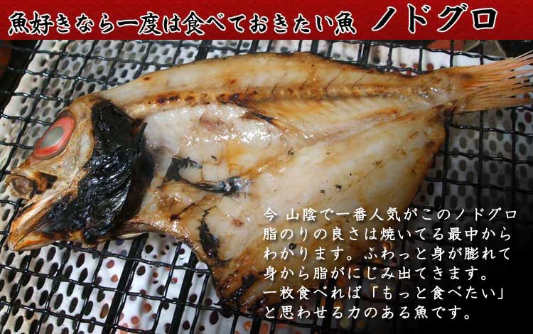 山陰沖日本海産のどぐろ中_説明入り
