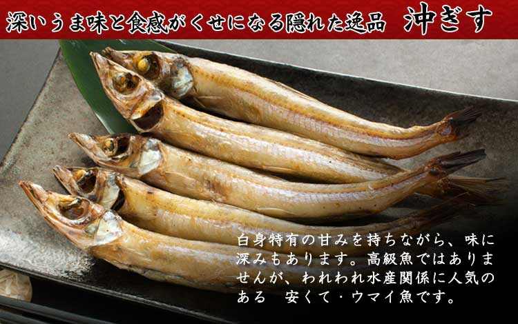 山陰沖日本海産_沖ギス_説明入り