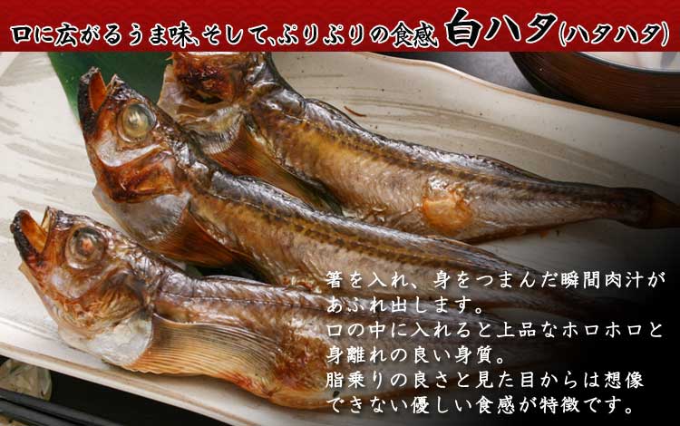 山陰沖日本海産_はたはた_説明入り
