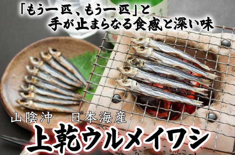 上乾ウルメの甘酢漬け
